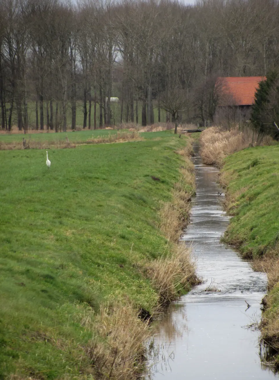 Violenbach