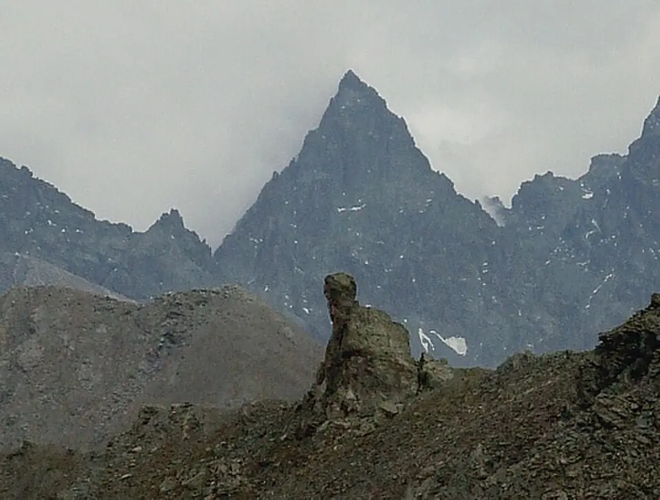 Visolotto