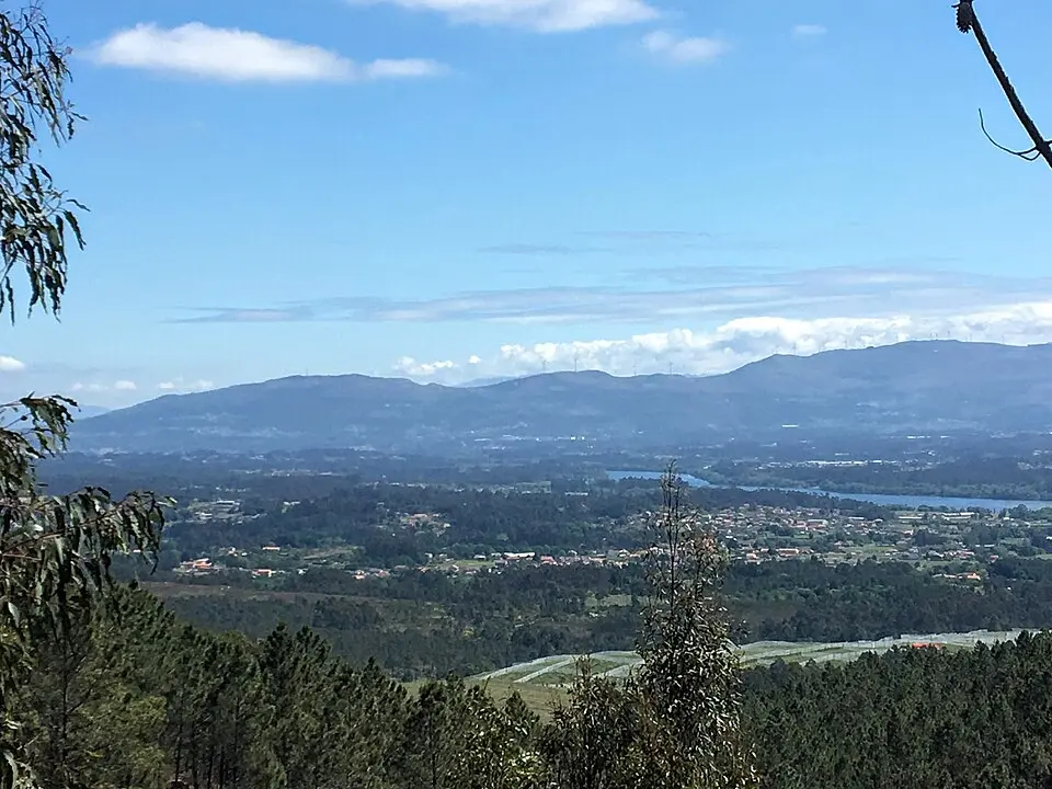Tomiño
