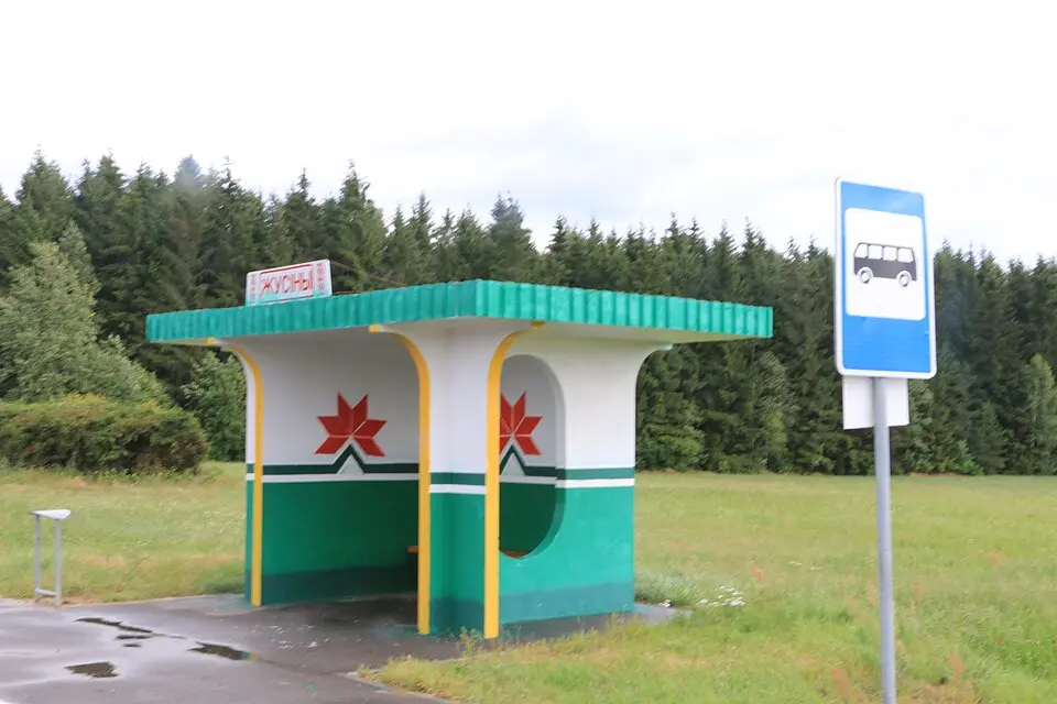 Žusiny