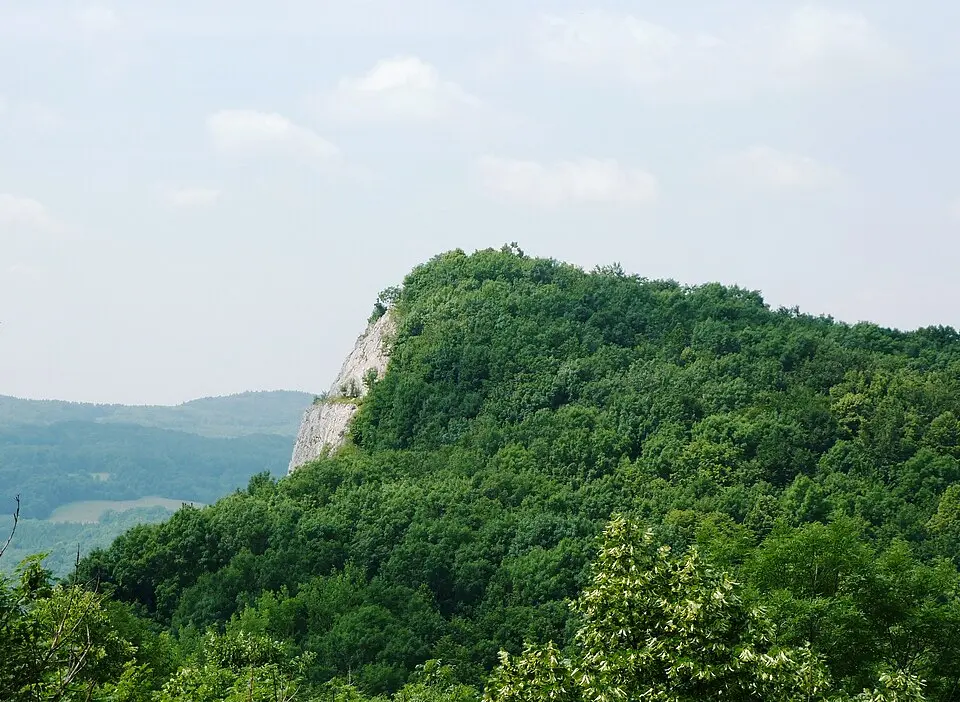 Kotouč