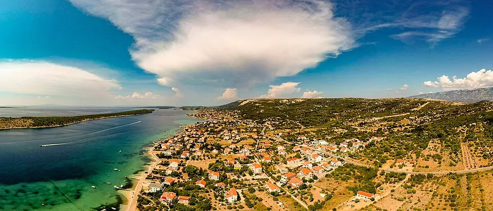 Barbato