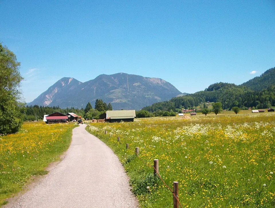 Hochgeladen von: Baumst~commonswiki · CC BY-SA 3.0 Wank