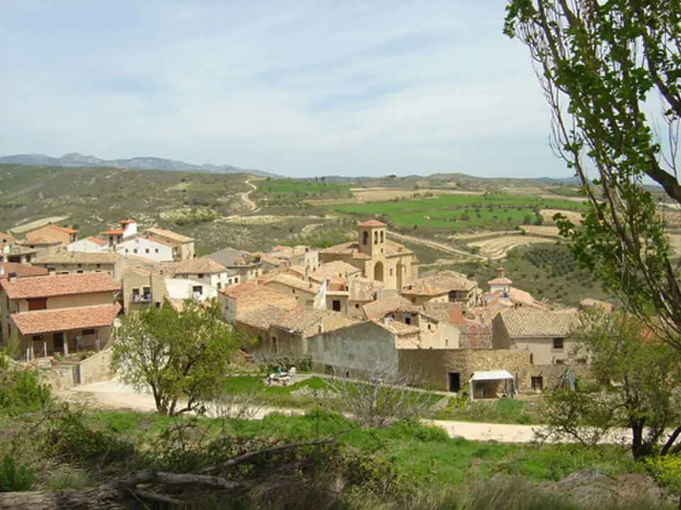 Bargota