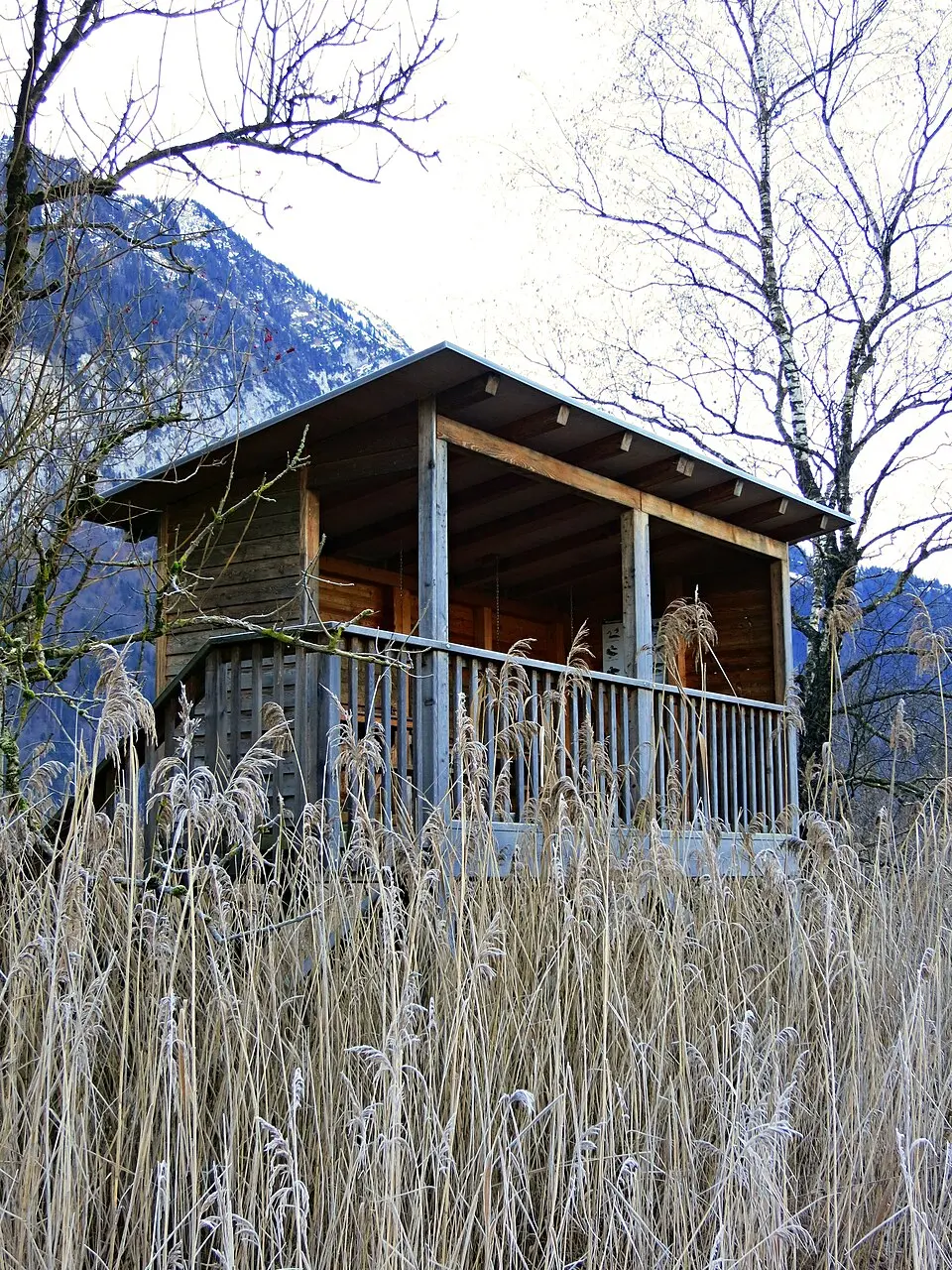 Immagine: Tschubby · CC BY-SA 3.0 Weissenauer Beobachtungsturm