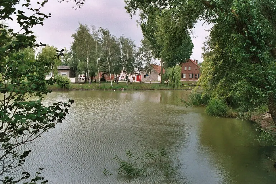 Wespen