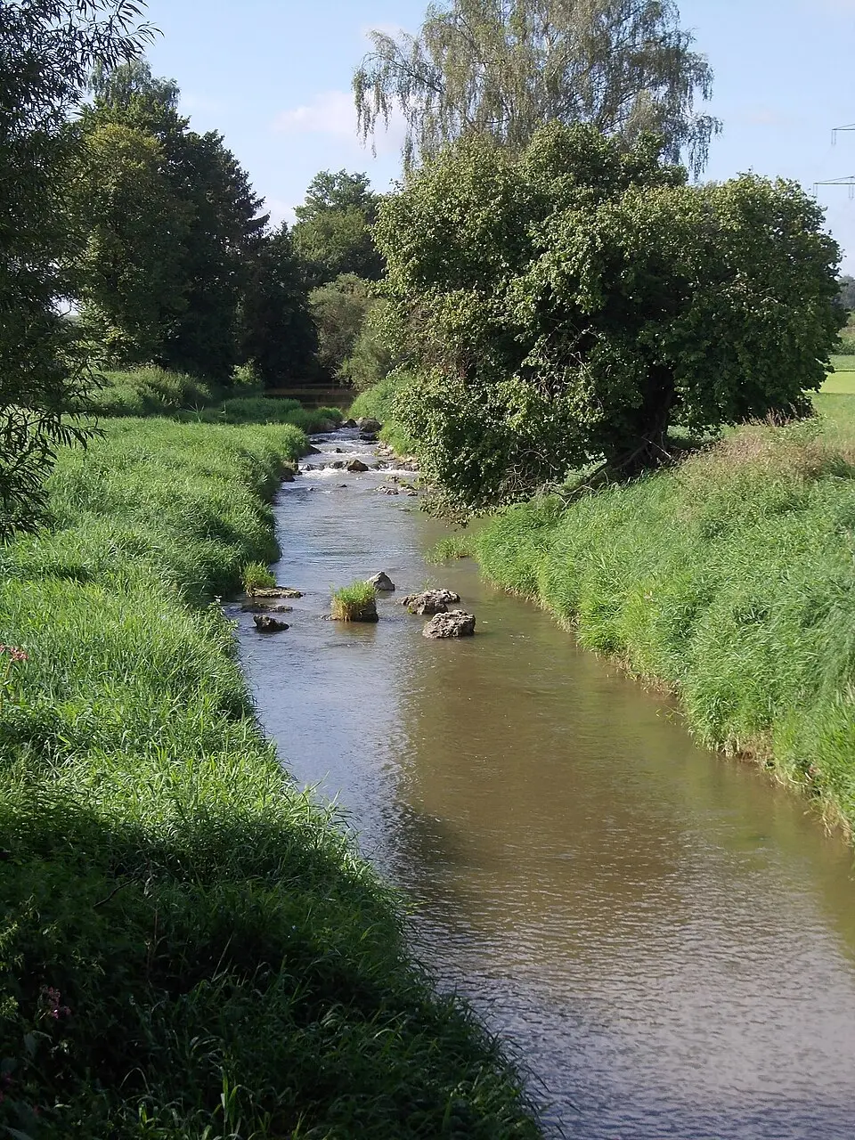 Obrázek: Schneebiene · CC0 Westernach