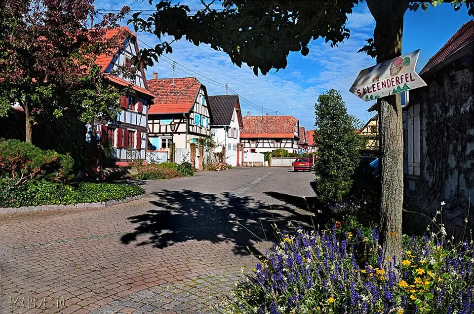 Bild: Ernst Baumann, http://baumanne.jimdo.com (ErBaumann at de.wikipedia) · CC BY-SA 3.0 DE Weyersheim