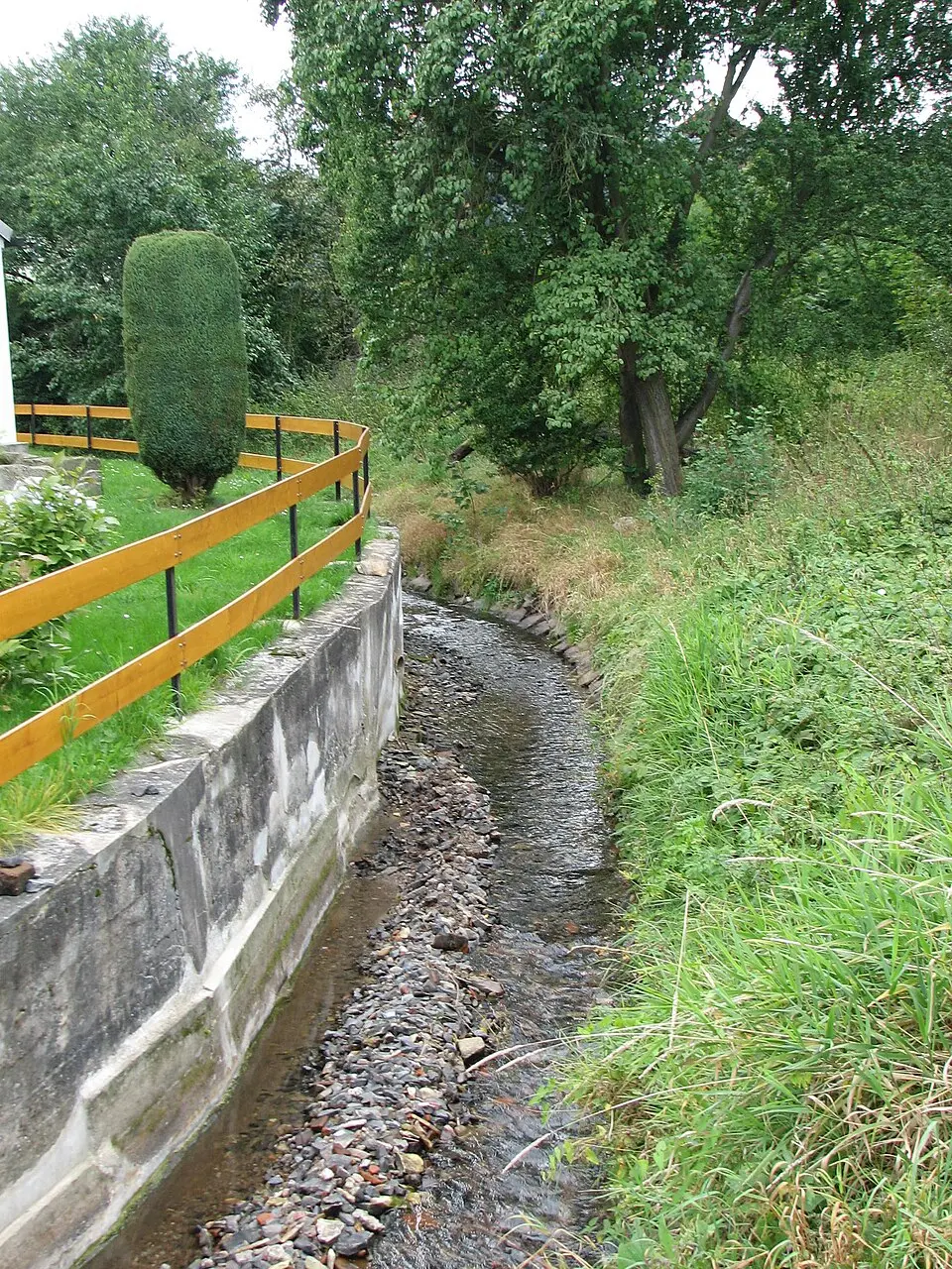 Wiederitz
