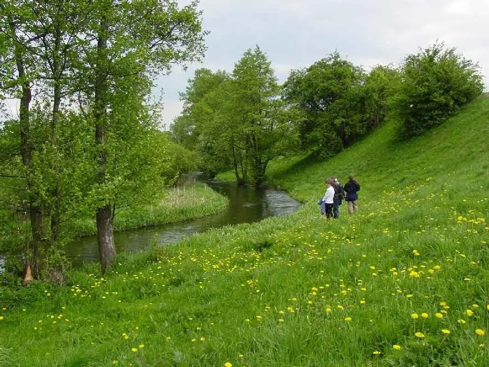 Wierzyca