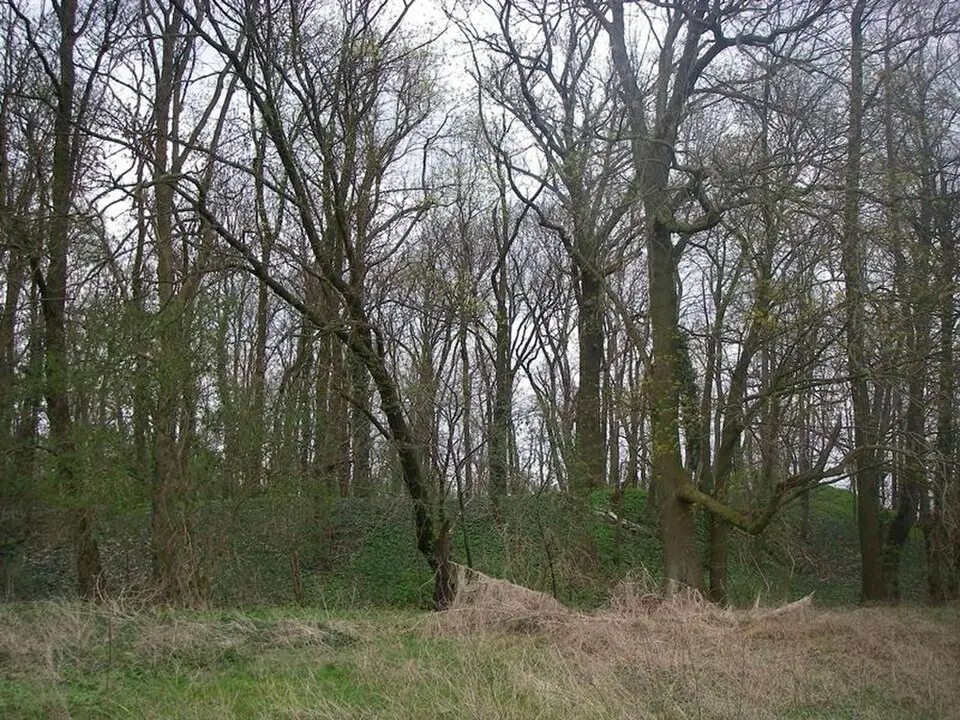Bild: RonnyKrüger · CC0 Burgwall Wildberg (Temnitztal)