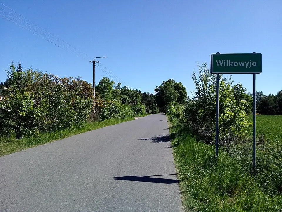 Wilkowyja