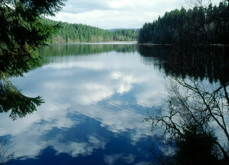 Immagine: Manfred Heyde · CC BY-SA 3.0 Windgfällweiher