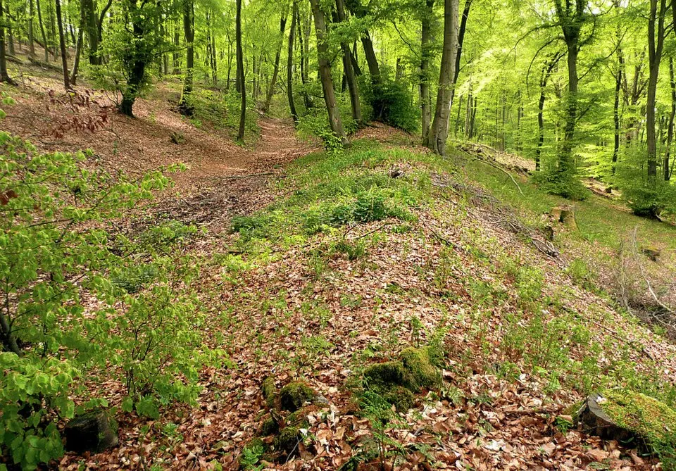 Wittekindsburg (Minden-Lübbecke)