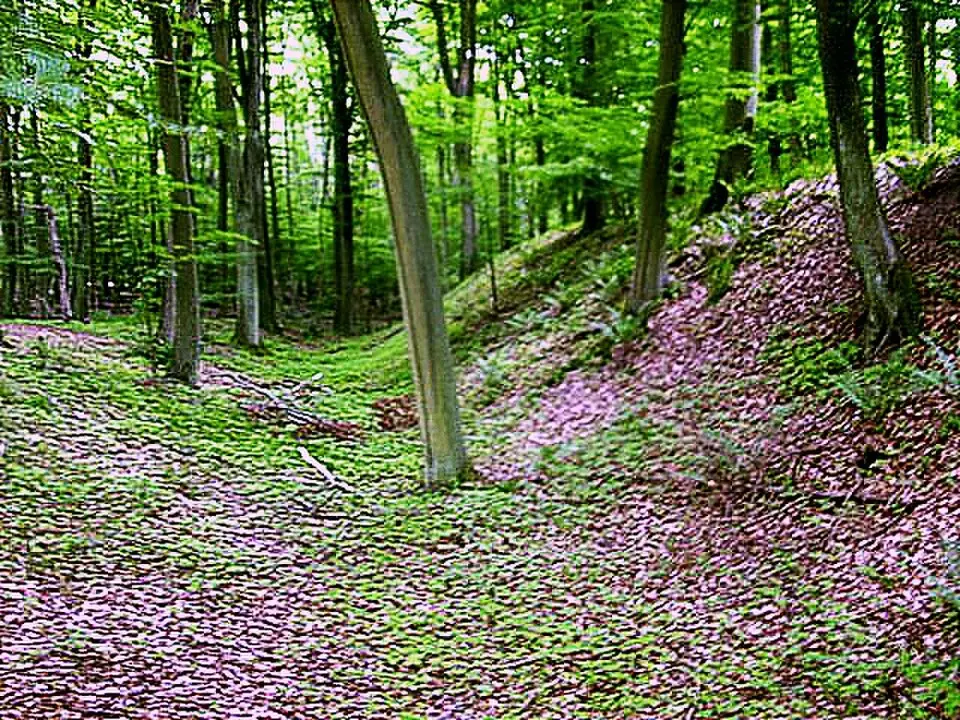 Bild: RonnyKrüger · CC0 Hoher Wall