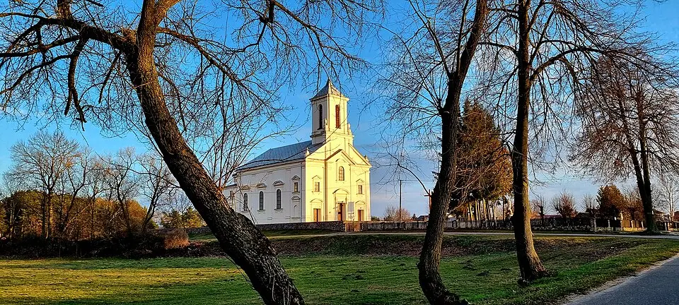 Bild: ArturGal4 · CC BY 4.0 Zambski Kościelne