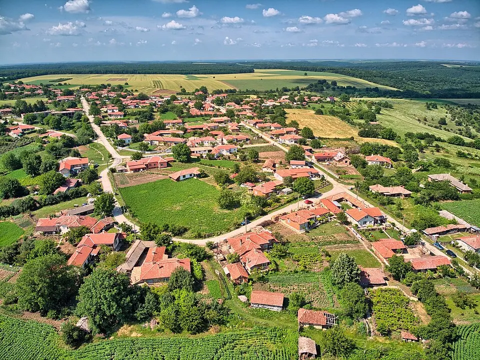 Зарица