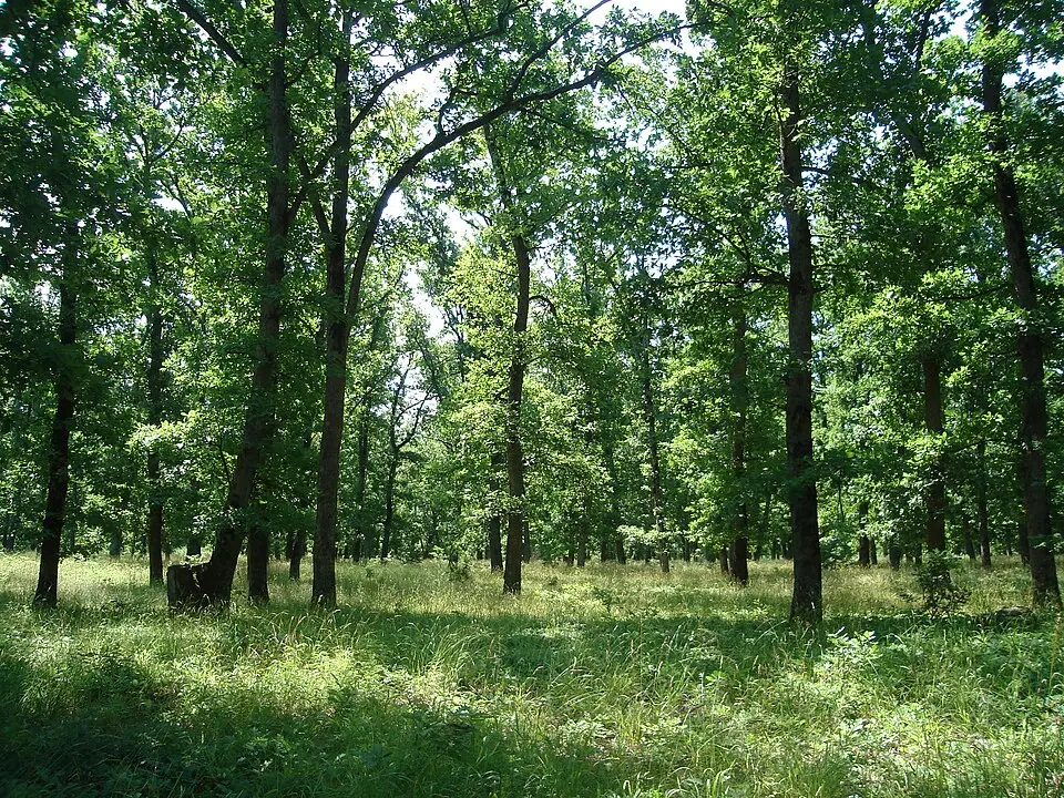 Камчийска планина