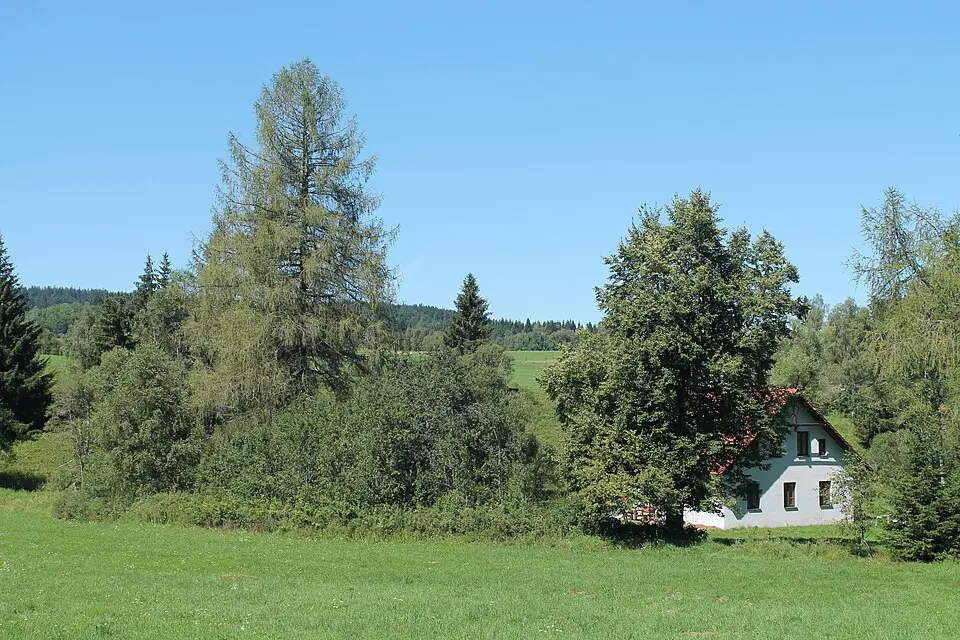 Spálenec
