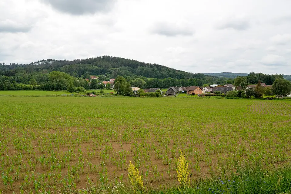 Záhoří