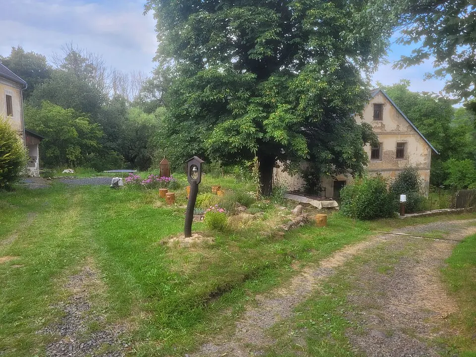 Zelený