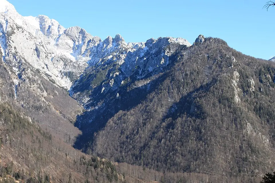 Zeleniške špice