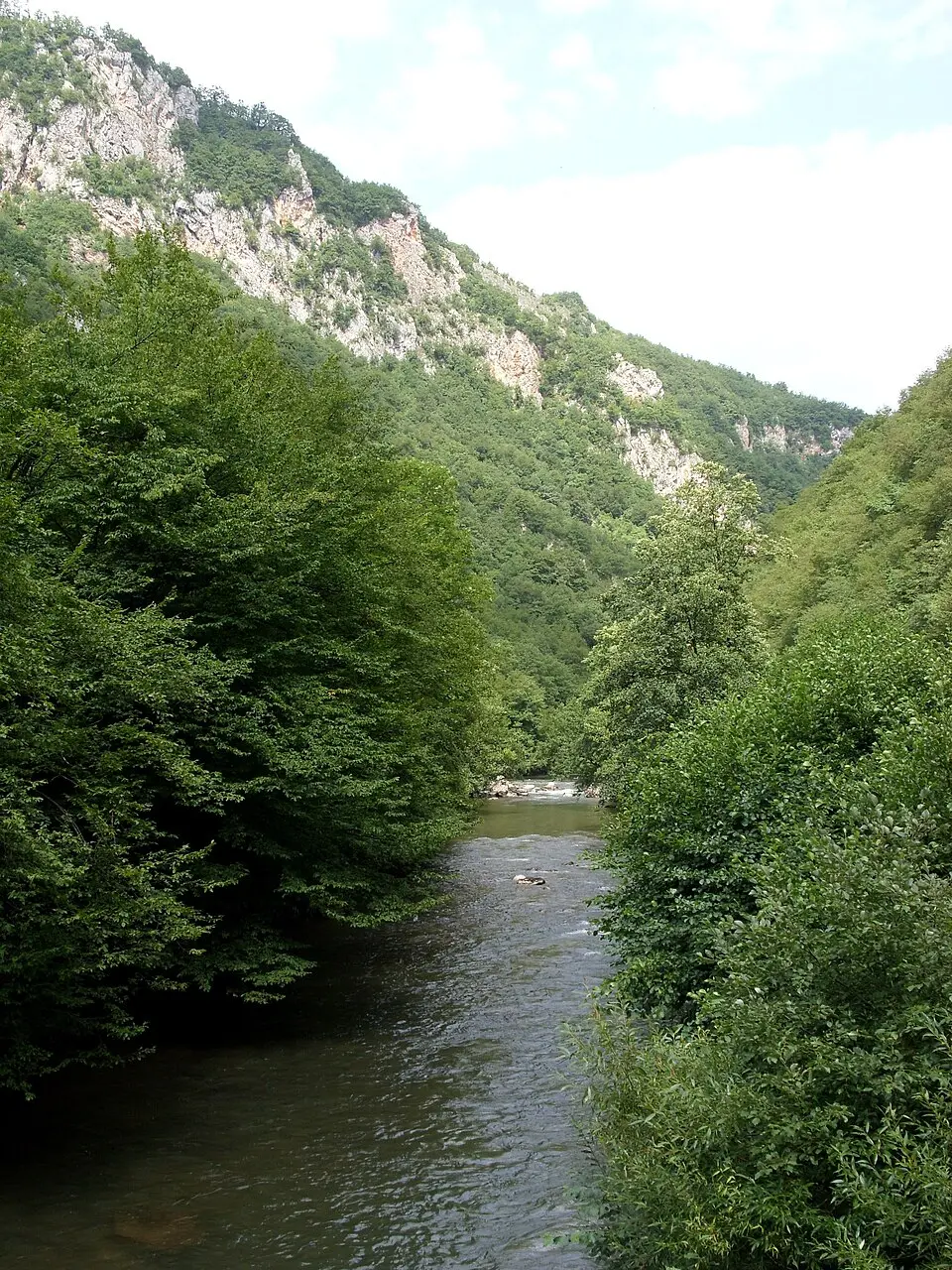 Željeznica