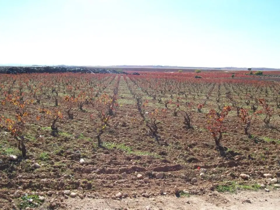 Utiel-Requena