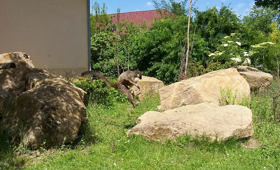 Immagine: Pavel Jedlička at cs.wikipedia · Public domain Zoologická a botanická zahrada města Plzně