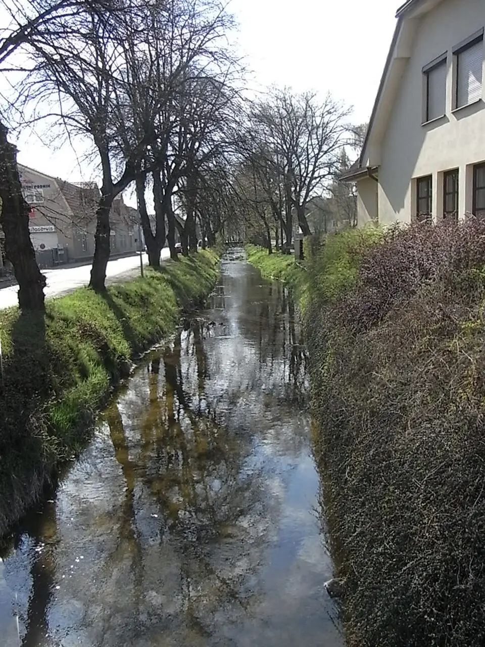 Zubřina