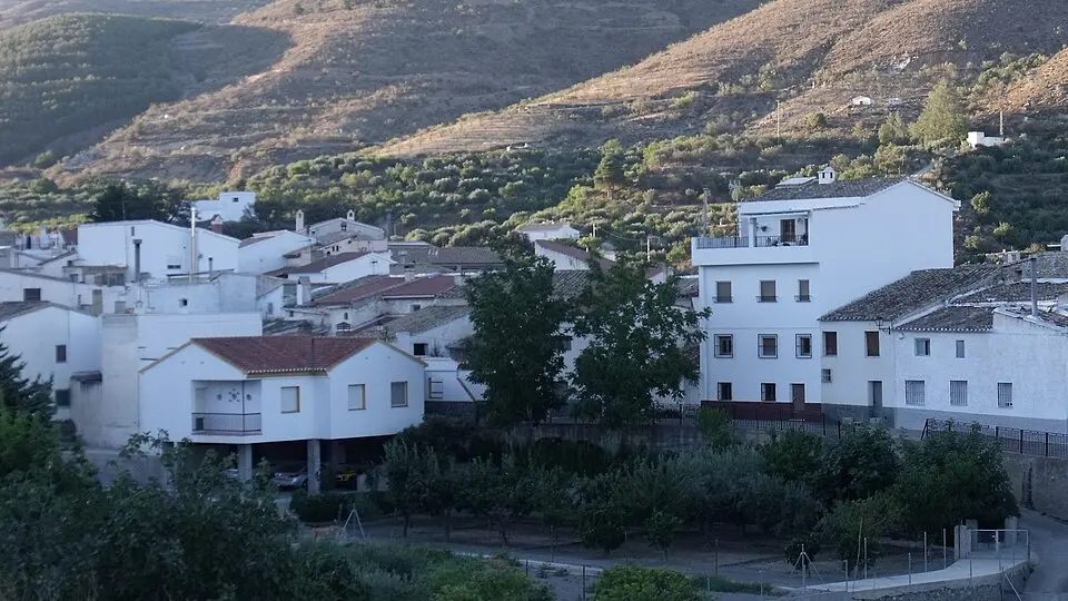 Bayarque