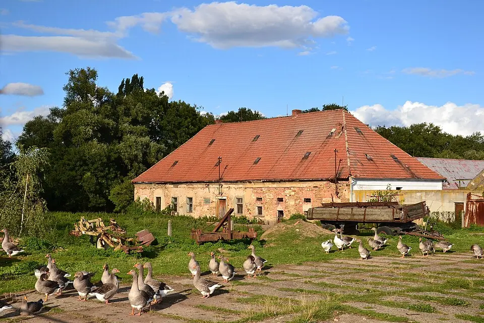 Schloss Bílence