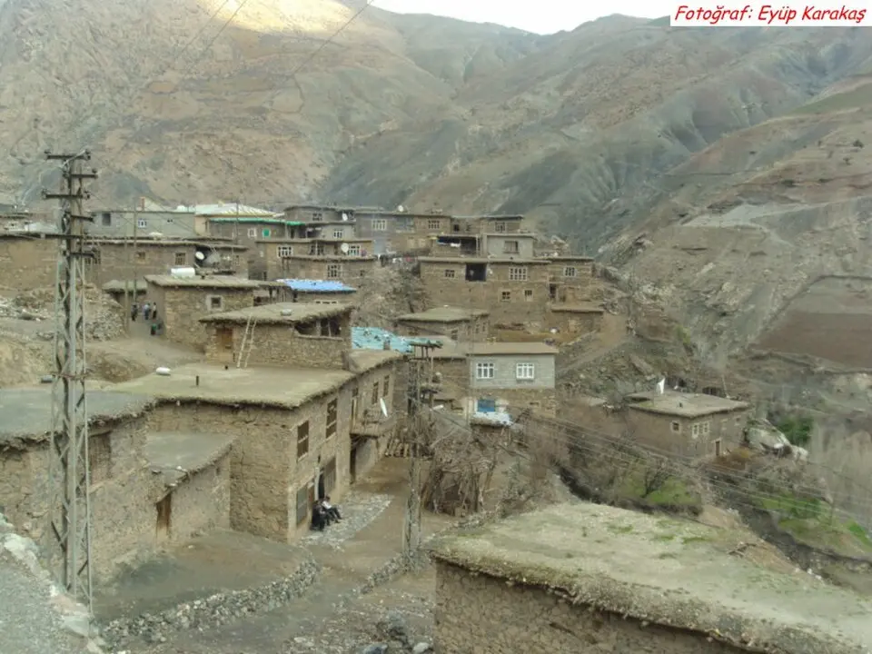Beğendik