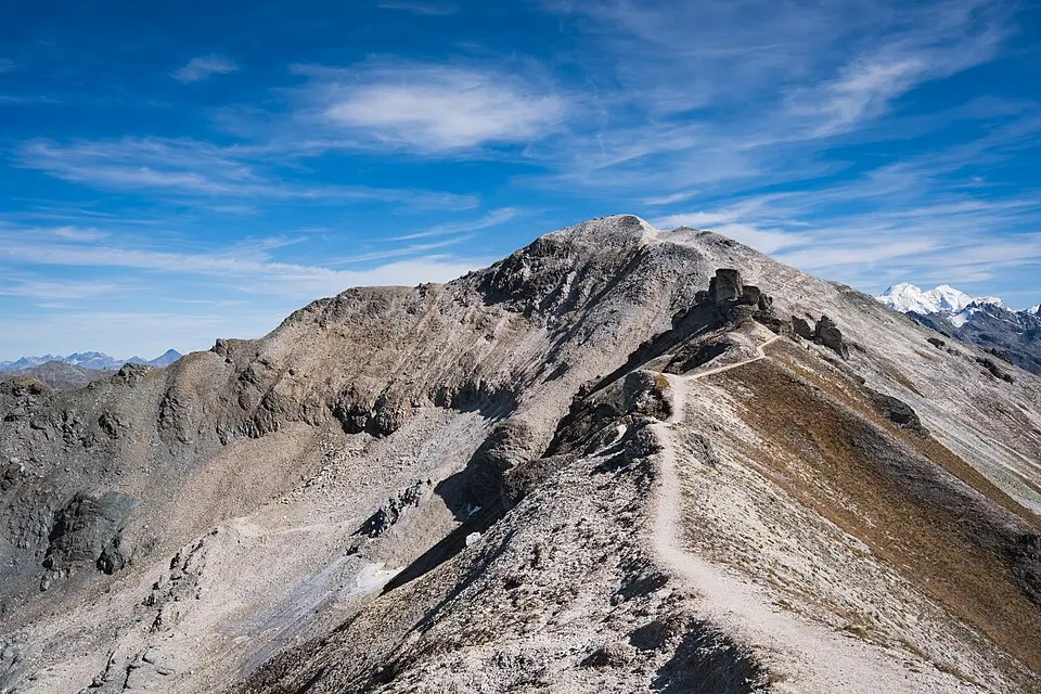Bella Tola