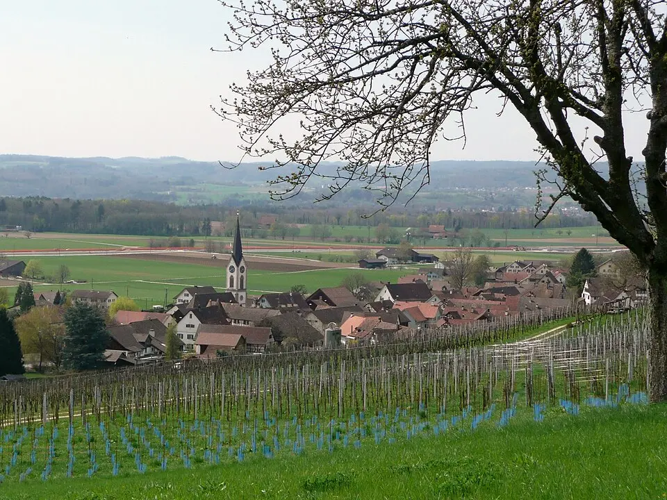 Zürcher Weinland