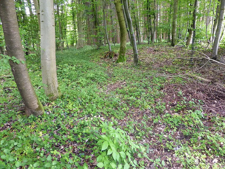 Bild: Luckyprof · CC BY-SA 3.0 AT Römische Villa Kerath