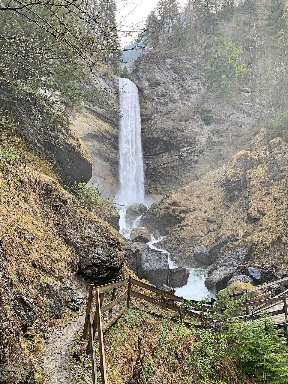 Berschnerfall