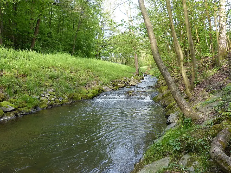 Bieberbach