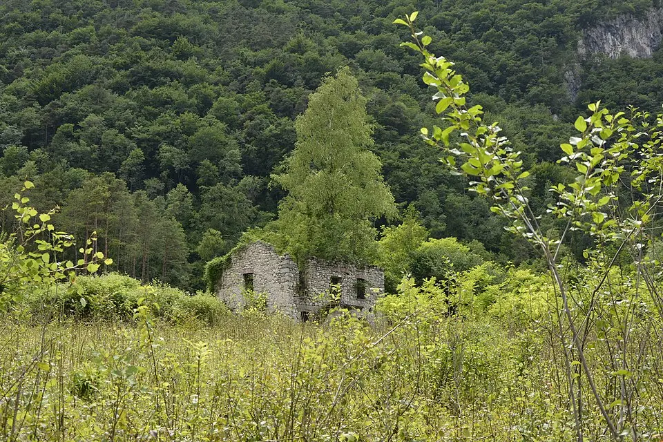Biotopo Ponte Casoni