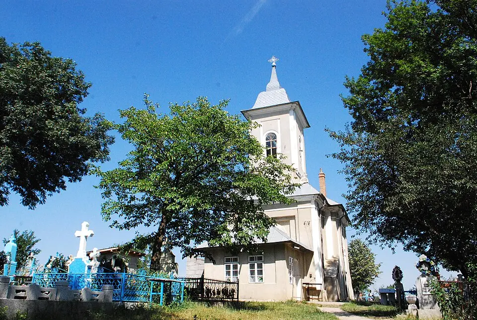 Obrázek: Losy · CC BY-SA 3.0 RO Ipatele