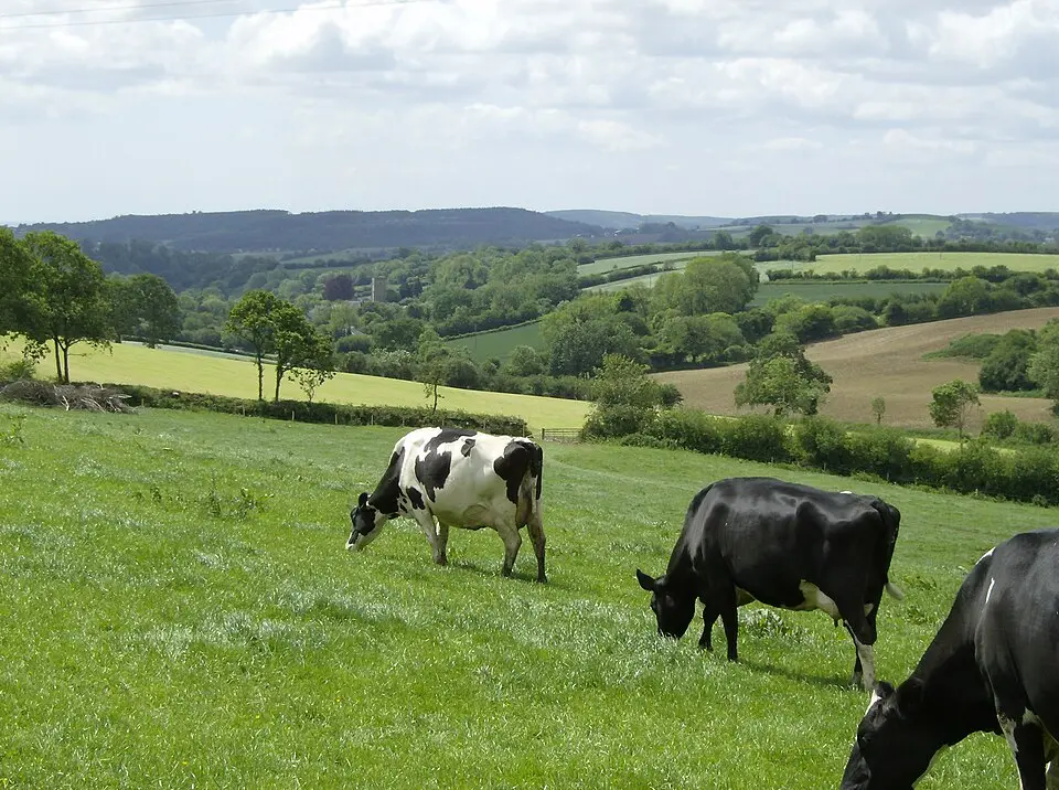 Blackdown Hills