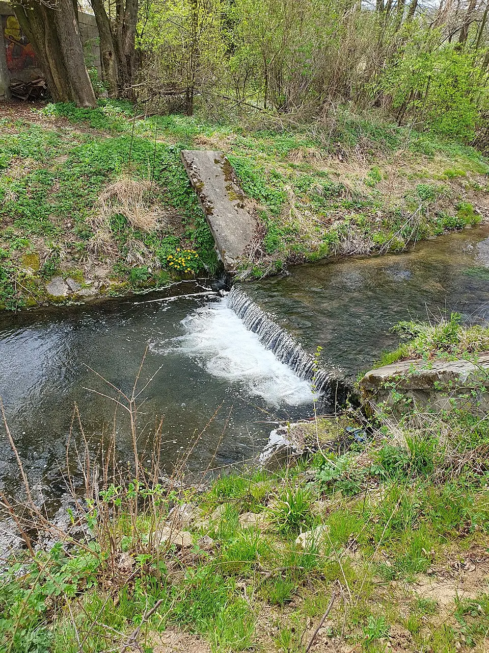 Blava