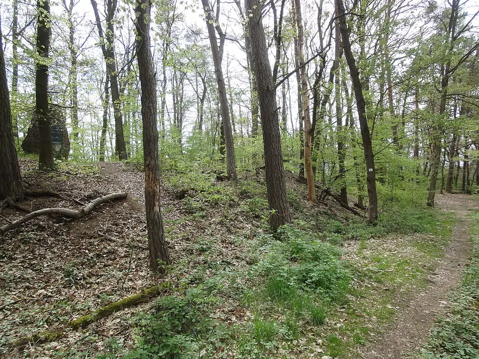 Blücherschanze