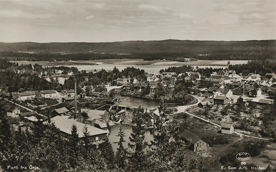 Øymark