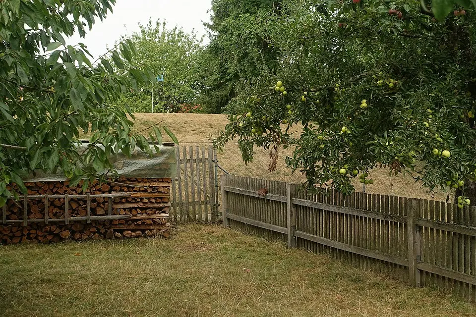 Bodendenkmal in Bechhofen (Mittelfranken), #D-5-6729-0024