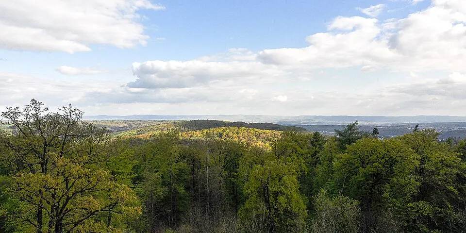 Bild: R.kaelcke · CC BY-SA 3.0 Schurwald