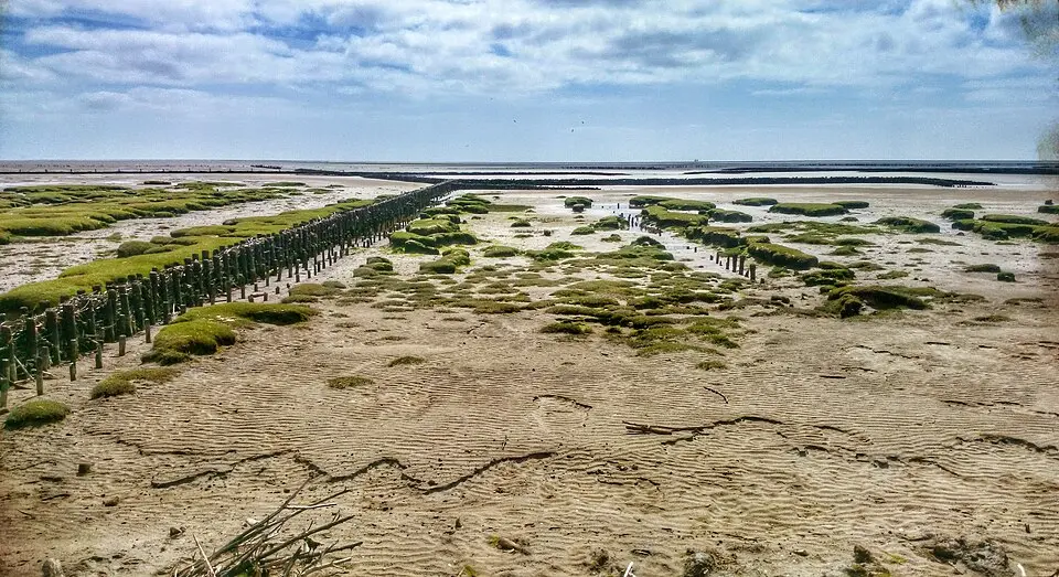 Bild: MariosBaluvon2009 · CC BY-SA 3.0 Grothusenkoog