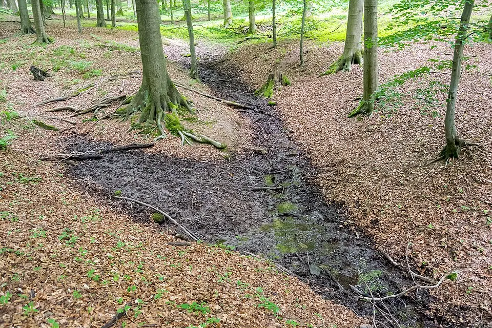 Diestelbach
