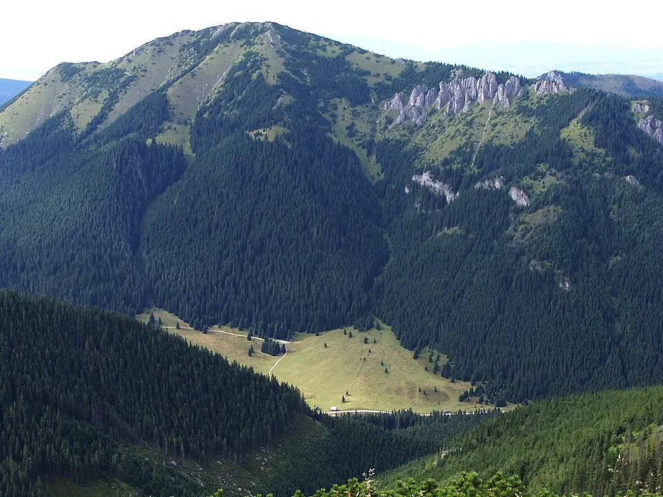 Bobrowiec