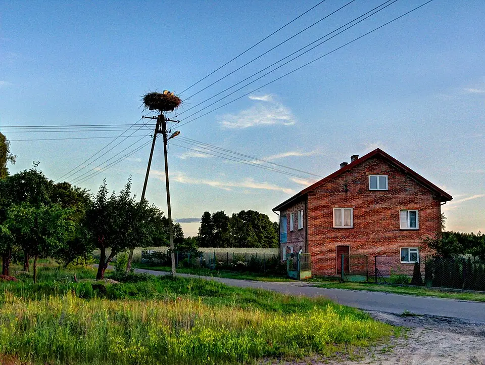 Sokołówek